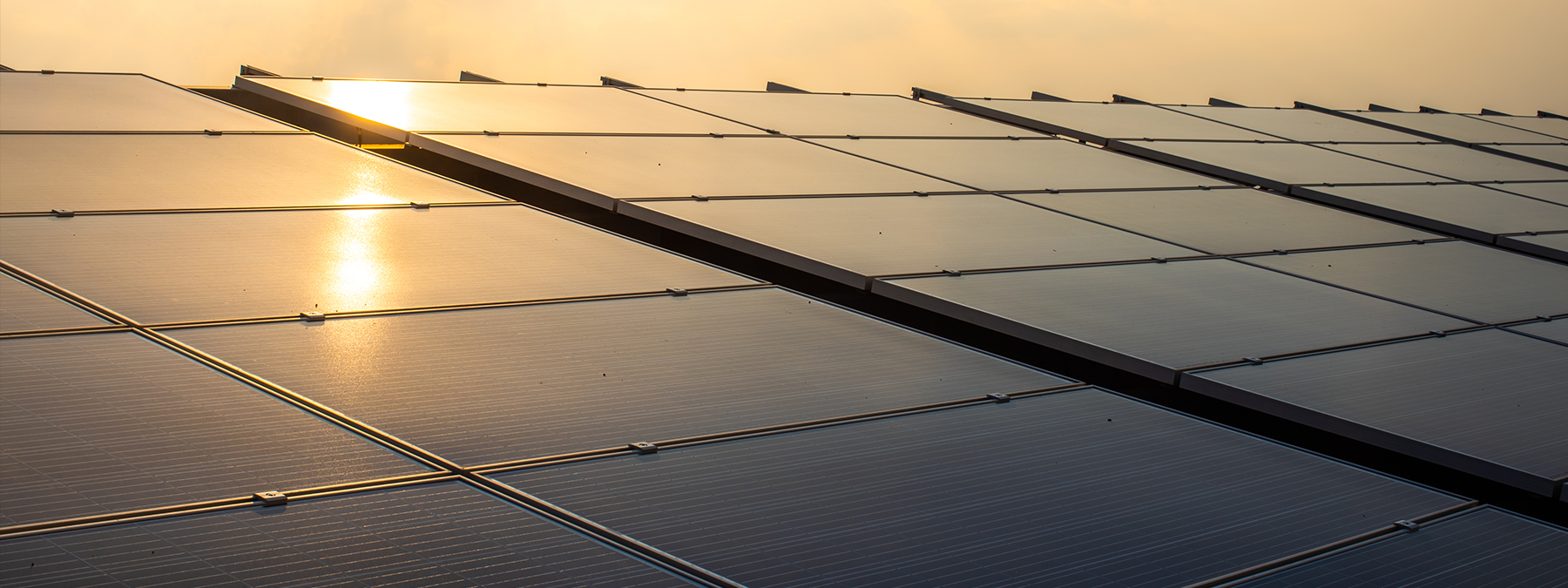 vision_background Solar panels at sunset.